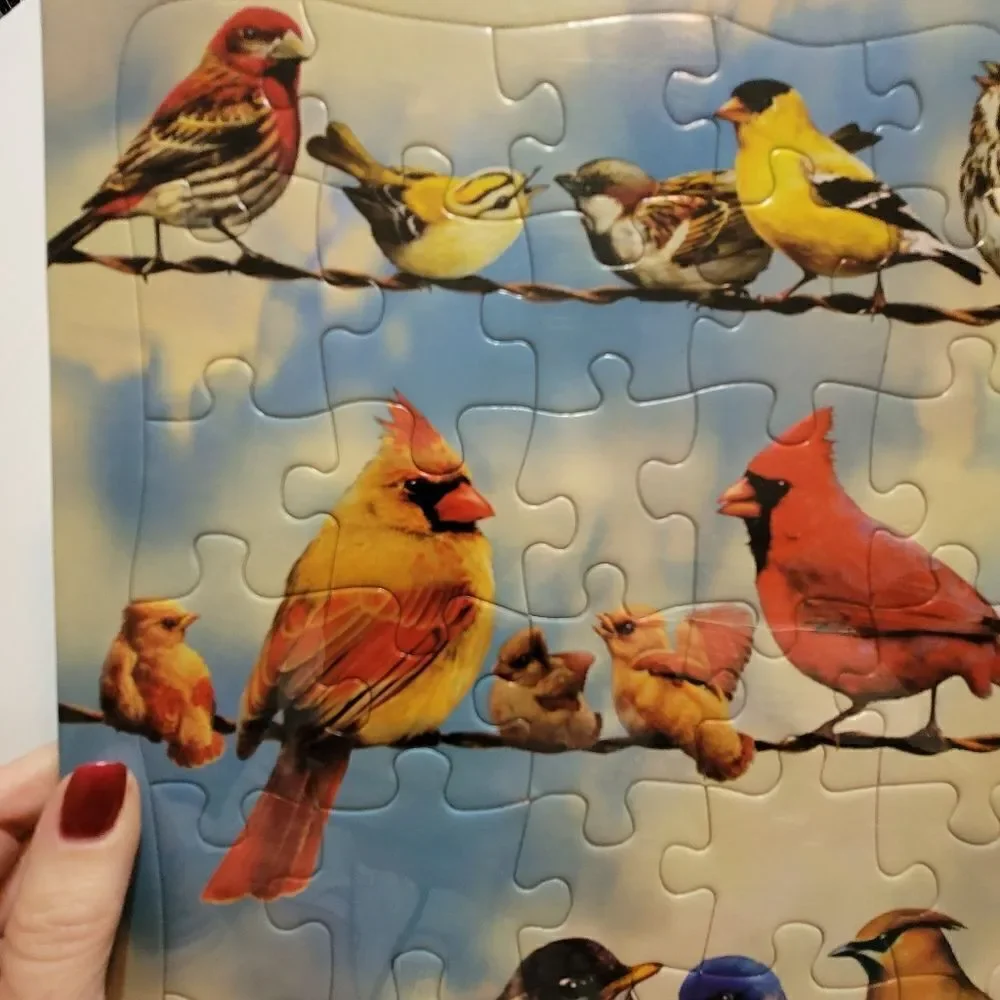 NEW Cobble Hill Tray Puzzle Blue Sky Birds